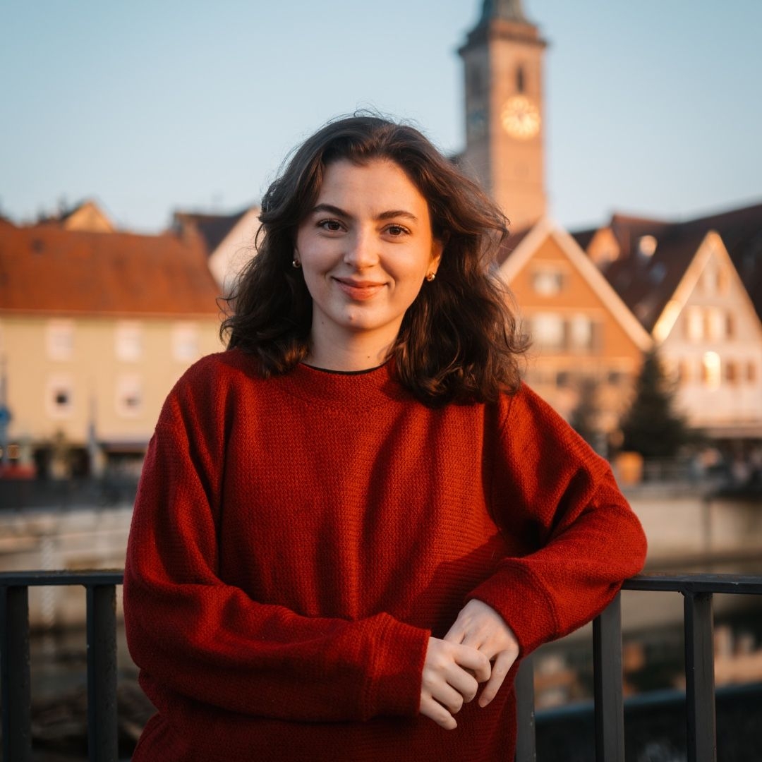 Alternative Text missing